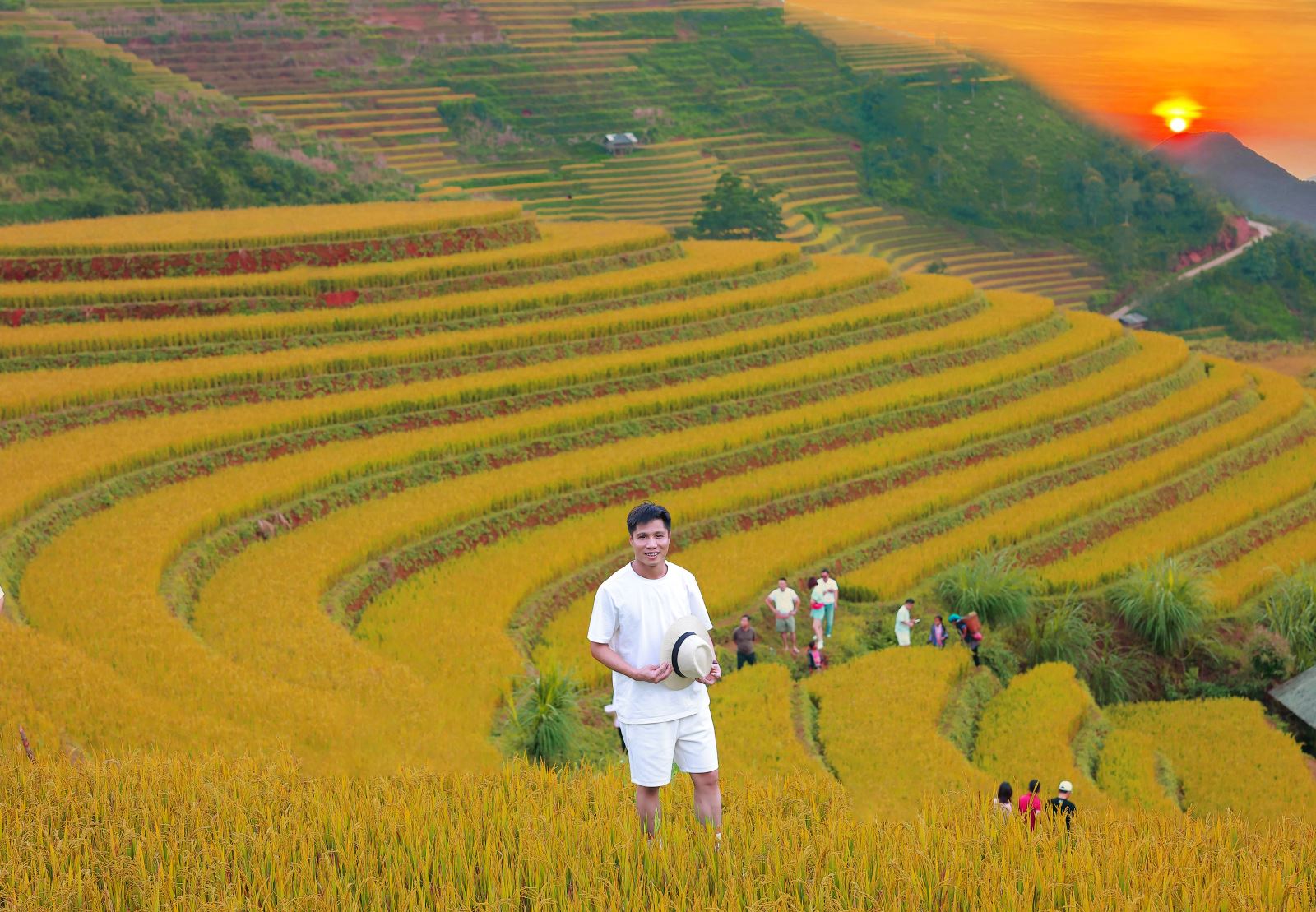 Đồi mâm xôi